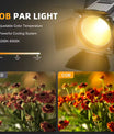 200W LED COB PAR Scheinwerfer mit Abschirmklappen, warm- und kaltweiße lineare Strahler, DMX-Bühnenbeleuchtung für Bühne, Party und Konzert