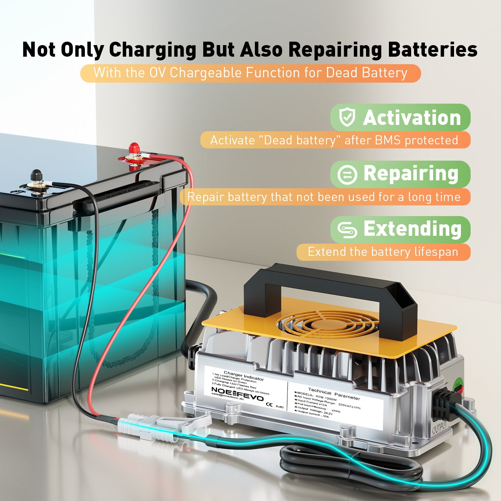 Noeifevo 29.2V 30A LiFePO4 Batterie Ladegerät für 24V 25.6V Lithium Akku, Wasserdicht, 0V BMS-Aktivierung, automatische Abschaltung